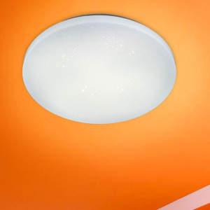 LED griestu gaismeklis Optonica DL24-B1 24W AC 220-240V IP20 | Elektriķis