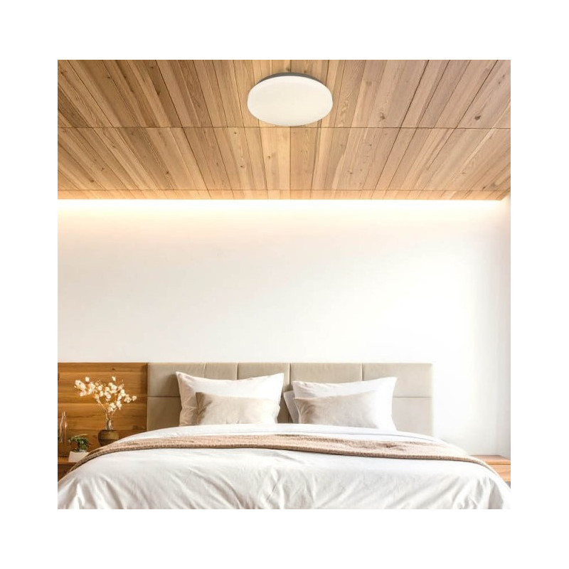 LED ceiling light Optonica DL12-B1, 12W, IP20