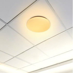 LED ceiling light Optonica DL12-B1, 12W, IP20