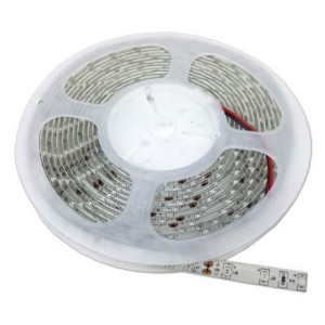 LED lente 12W/m 12V SMD4014 balta gaisma IP20 | Elektriķis